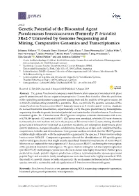 Genetic Potential of the Biocontrol Agent Pseudomonas Brassicacearum (Formerly P