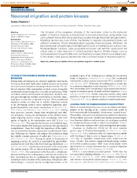 Neuronal Migration and Protein Kinases