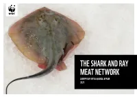 THE SHARK and RAY MEAT NETWORK a DEEP DIVE INTO a GLOBAL AFFAIR 2021 Editor Evan Jeffries (Swim2birds)
