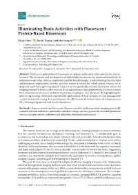 Illuminating Brain Activities with Fluorescent Protein-Based Biosensors