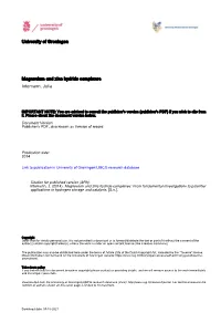 Magnesium and Zinc Hydride Complexes Intemann, Julia
