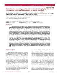 Modeling the Phenotype of Spinal Muscular Atrophy by the Direct Conversion of Human Fibroblasts to Motor Neurons