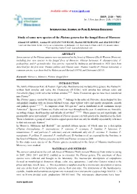 Study of Some New Species of the Pluteus Genera for the Fungal Flora