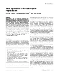 The Dynamics of Cell Cycle Regulation John J