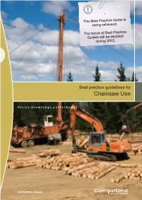 Chainsaw Use
