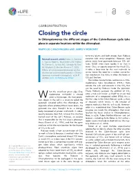 Closing the Circle in Chlamydomonas the Different Stages of the Calvin-Benson Cycle Take Place in Separate Locations Within the Chloroplast
