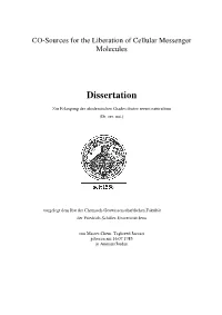 Dissertation