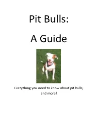 Everything You Need to Know About Pit Bulls, and More!