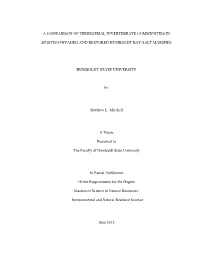 A Comparison of Terrestrial Invertebrate Communities In