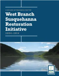 A Decade of Progress for the West Branch Susquehanna Restoration