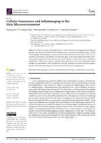 Cellular Senescence and Inflammaging in the Skin Microenvironment