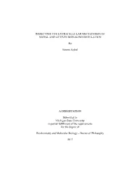 DISSECTING the EXTRACELLULAR MECHANISMS of NODAL and ACTIVIN SIGNALING REGULATION by Senem Aykul a DISSERTATION Submitted To