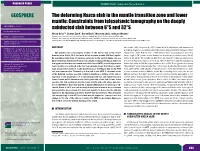 The Deforming Nazca Slab in the Mantle Transition Zone and Lower Mantle: Constraints from Teleseismic Tomography on the Deeply GEOSPHERE; V