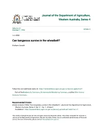 Can Kangaroos Survive in the Wheatbelt?