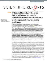 Intestinal Toxicity of the Type B Trichothecene Mycotoxin Fusarenon-X
