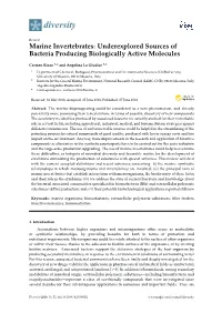 Marine Invertebrates: Underexplored Sources of Bacteria Producing Biologically Active Molecules