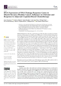 RNA Expression of DNA Damage Response Genes in Muscle-Invasive Bladder Cancer: Inﬂuence on Outcome and Response to Adjuvant Cisplatin-Based Chemotherapy