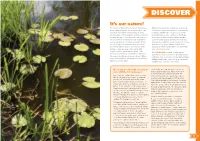 Bure Valley Discover Toolkit