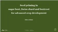 Seed Priming in Sugar Beet, Swiss Chard and Beetroot for Advanced Crop Development