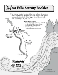 Mesa Falls Activity Booklet