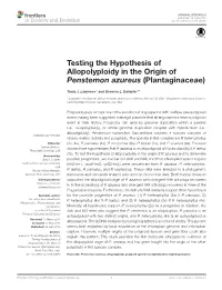 Testing the Hypothesis of Allopolyploidy in the Origin of Penstemon Azureus (Plantaginaceae)