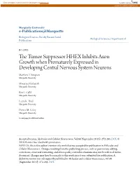 The Tumor Suppressor HHEX Inhibits Axon Growth When Prematurely Expressed in Developing Central Nervous System Neurons