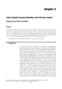 Link of Zygotic Genome Activation and Cell Cycle Control