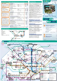 Buses and Trains In