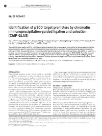 Identification of P100 Target Promoters by Chromatin Immunoprecipitation-Guided Ligation and Selection (Chip-GLAS)