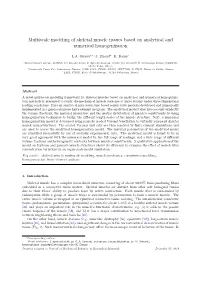 Multiscale Modeling of Skeletal Muscle Tissues Based on Analytical and Numerical Homogenization