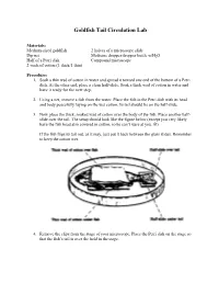 Goldfish Tail Circulation Lab