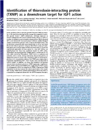 Identification of Thioredoxin-Interacting Protein (TXNIP) As a Downstream Target for IGF1 Action
