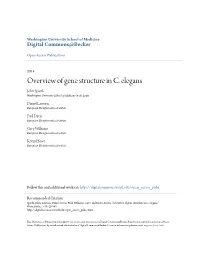 Overview of Gene Structure in C. Elegans John Spieth Washington University School of Medicine in St