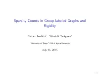 Sparsity Counts in Group-Labeled Graphs and Rigidity