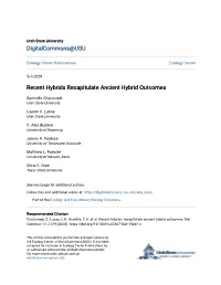 Recent Hybrids Recapitulate Ancient Hybrid Outcomes