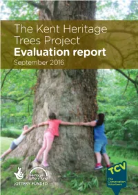 The Kent Heritage Trees Project Evaluation Report September 2016 I Am a Tree by Molly Nobbs Contents Introduction