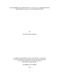 University of Florida Thesis Or Dissertation Formatting