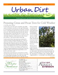 Preparing Citrus and Pecan Trees for Cold Weather by Terri Simon, Master Gardener It’S Hard to Believe but Cold Weather Is Around the Corner