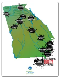 Dirty Dozen Report Because Pollution from the Mill Continues