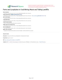 Ferns and Licophytes in Coal Mining Waste and Tailing Landflls
