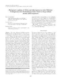Phylogenetic Analysis of Tilletia and Allied Genera in Order Tilletiales (Ustilaginomycetes; Exobasidiomycetidae) Based on Large Subunit Nuclear Rdna Sequences