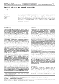 Prophyll, Calyculus, and Perianth in Santalales
