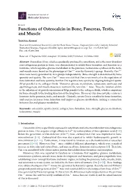 Functions of Osteocalcin in Bone, Pancreas, Testis, and Muscle