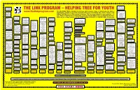 LINK Ptogram Decisional Tree English