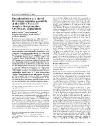 Phosphorylation of a Novel SOCS-Box Regulates Assembly of the HIV-1 Vif–Cul5 Complex That Promotes APOBEC3G Degradation