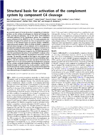 Structural Basis for Activation of the Complement System by Component C4 Cleavage