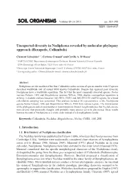 Unexpected Diversity in Neelipleona Revealed by Molecular Phylogeny Approach (Hexapoda, Collembola)