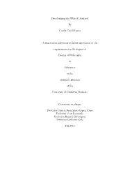 Decolonizing the White Colonizer? by Cecilia Cissell Lucas a Dissertation