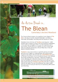 The Blean Active Break