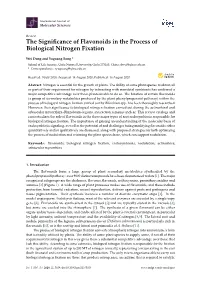 The Significance of Flavonoids in the Process of Biological Nitrogen